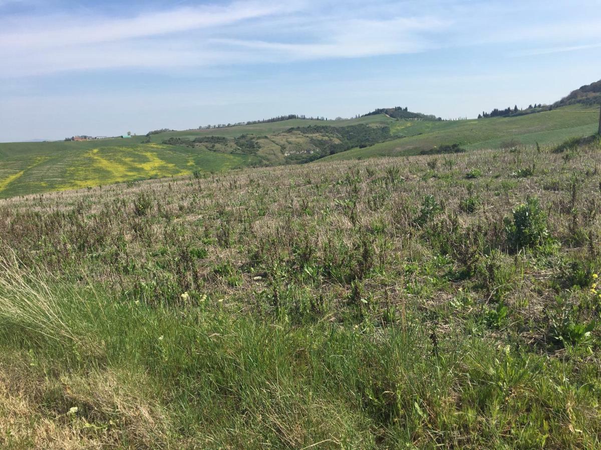 Cordella In Montalcino Wine Resort Exterior photo