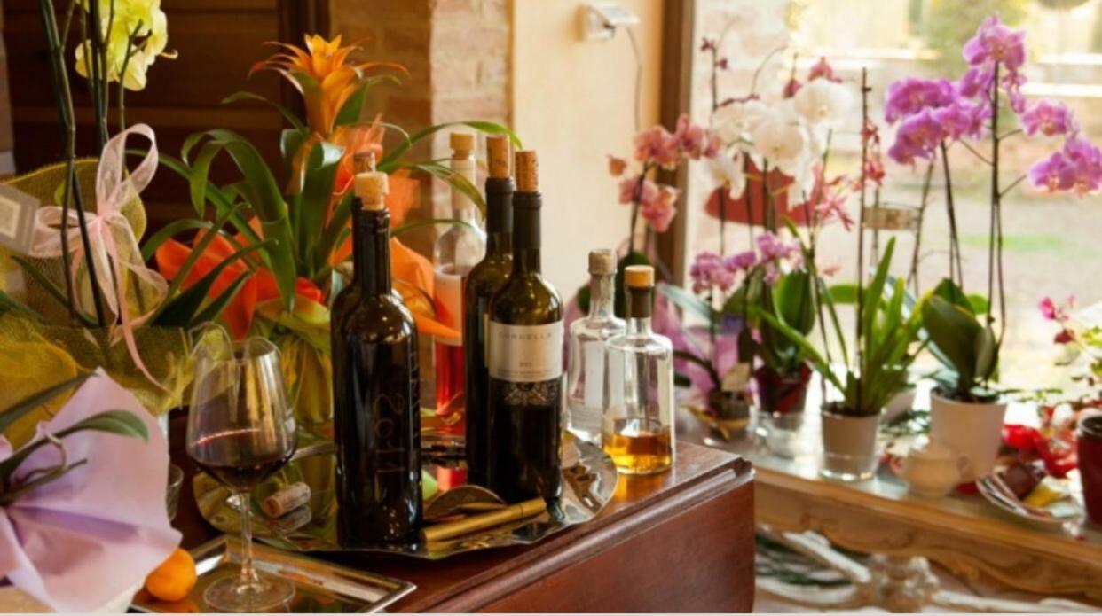 Cordella In Montalcino Wine Resort Exterior photo
